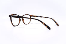 Load image into Gallery viewer, ROSS Tortoise